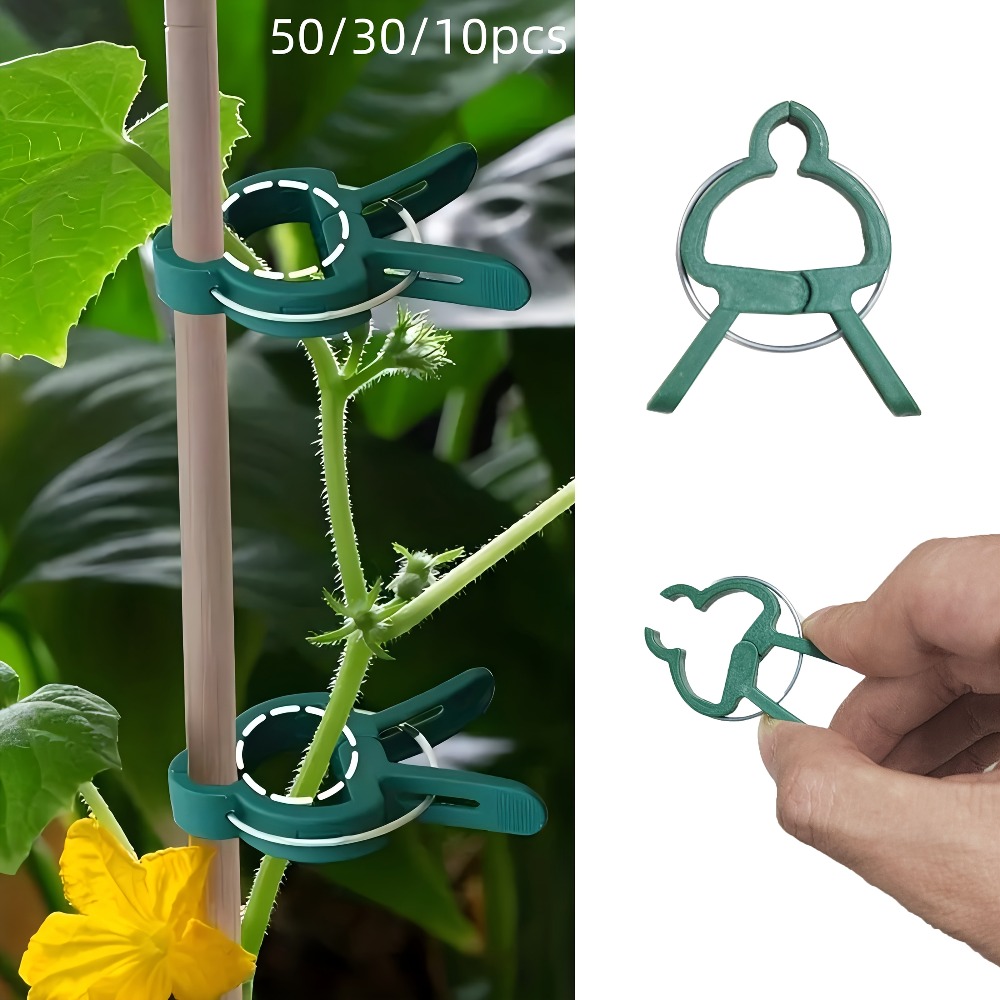 Gardening Tools Essential - 10/30/50 قطعة من مشابك النباتات القابلة
