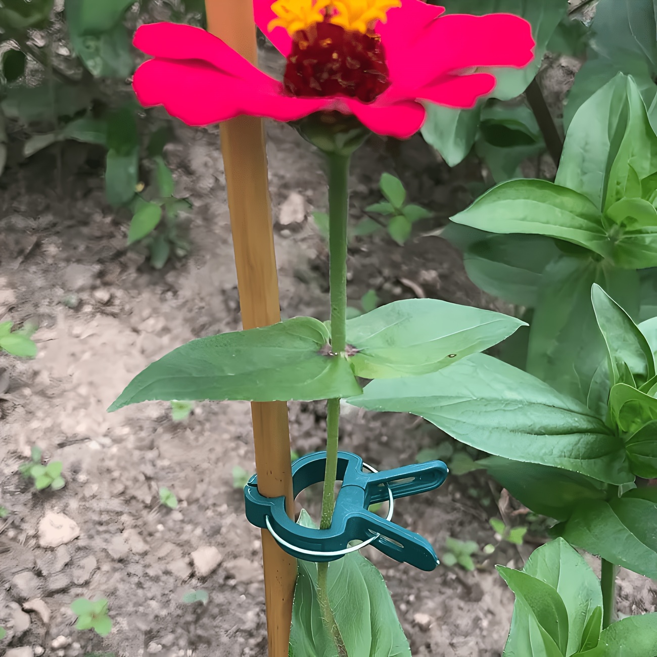 Gardening Tools Essential - 5 قطع مشابك نباتات قابلة للتعديل،