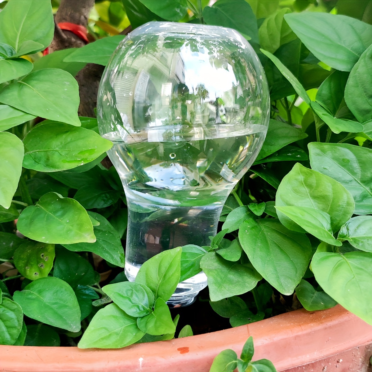 أداة ري أوتوماتيكية للحديقة ،  - مراجعة Gardening Tools And Accessories وسعره