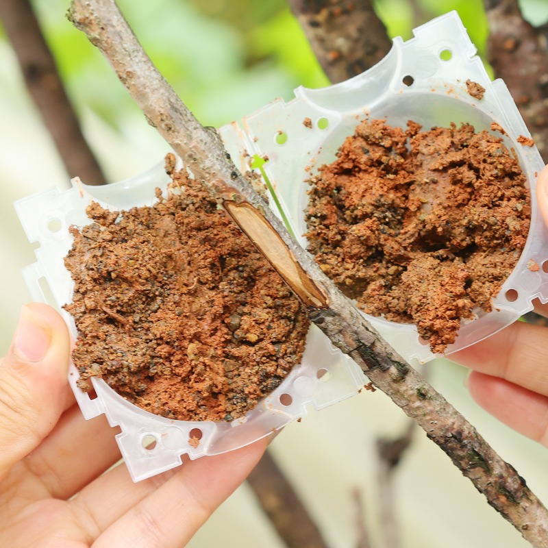 أدوات تجذير النباتات القابلة ل - مراجعة Gardening Tools Organiser وسعره