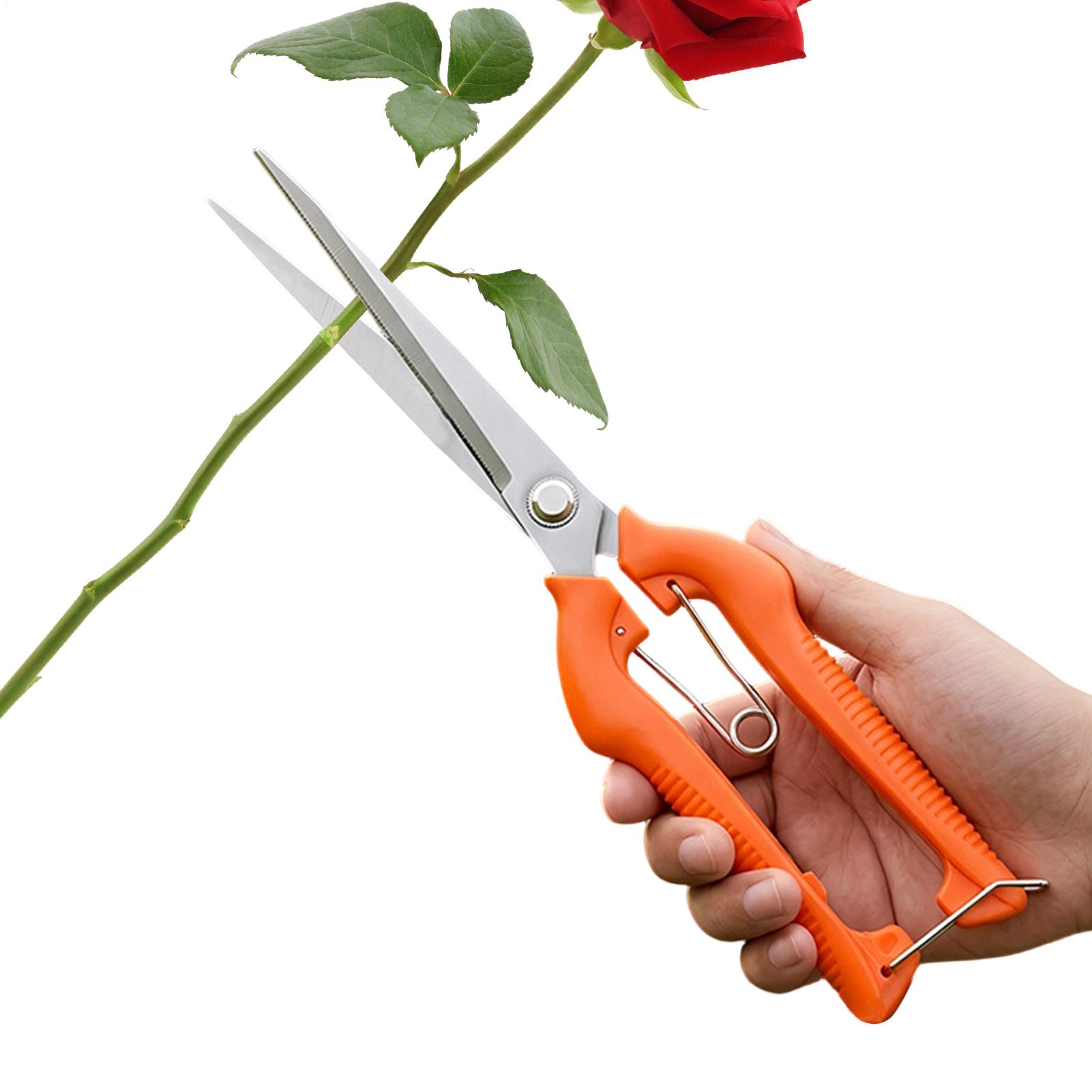 مقص تقليم العنب، أداة حديقة، م - مراجعة Gardening Tools For Beginners وسعره
