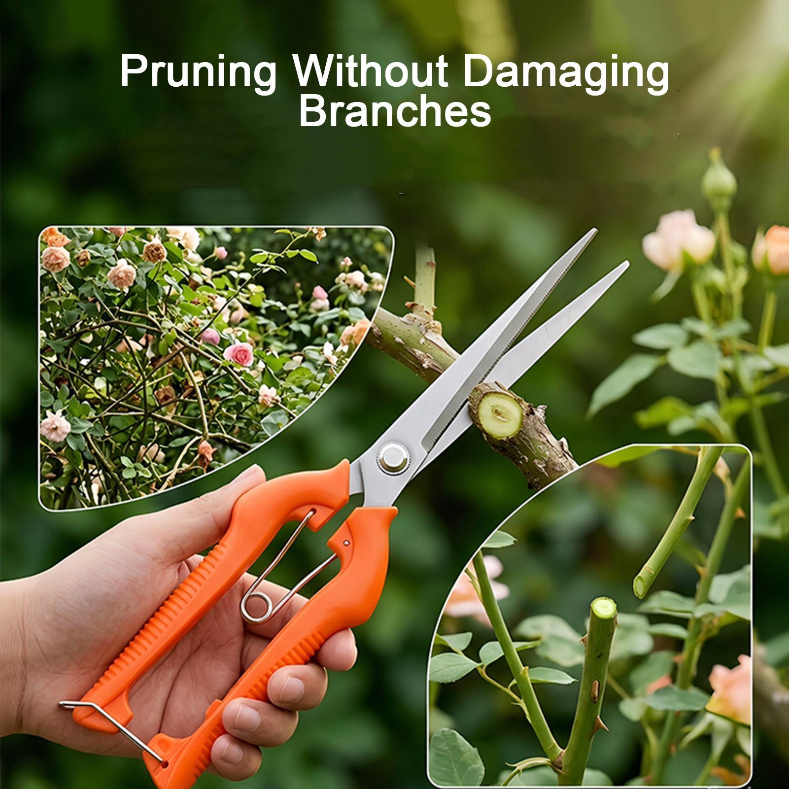 مقص تقليم العنب، أداة حديقة، م - مراجعة Gardening Tools For Beginners وسعره
