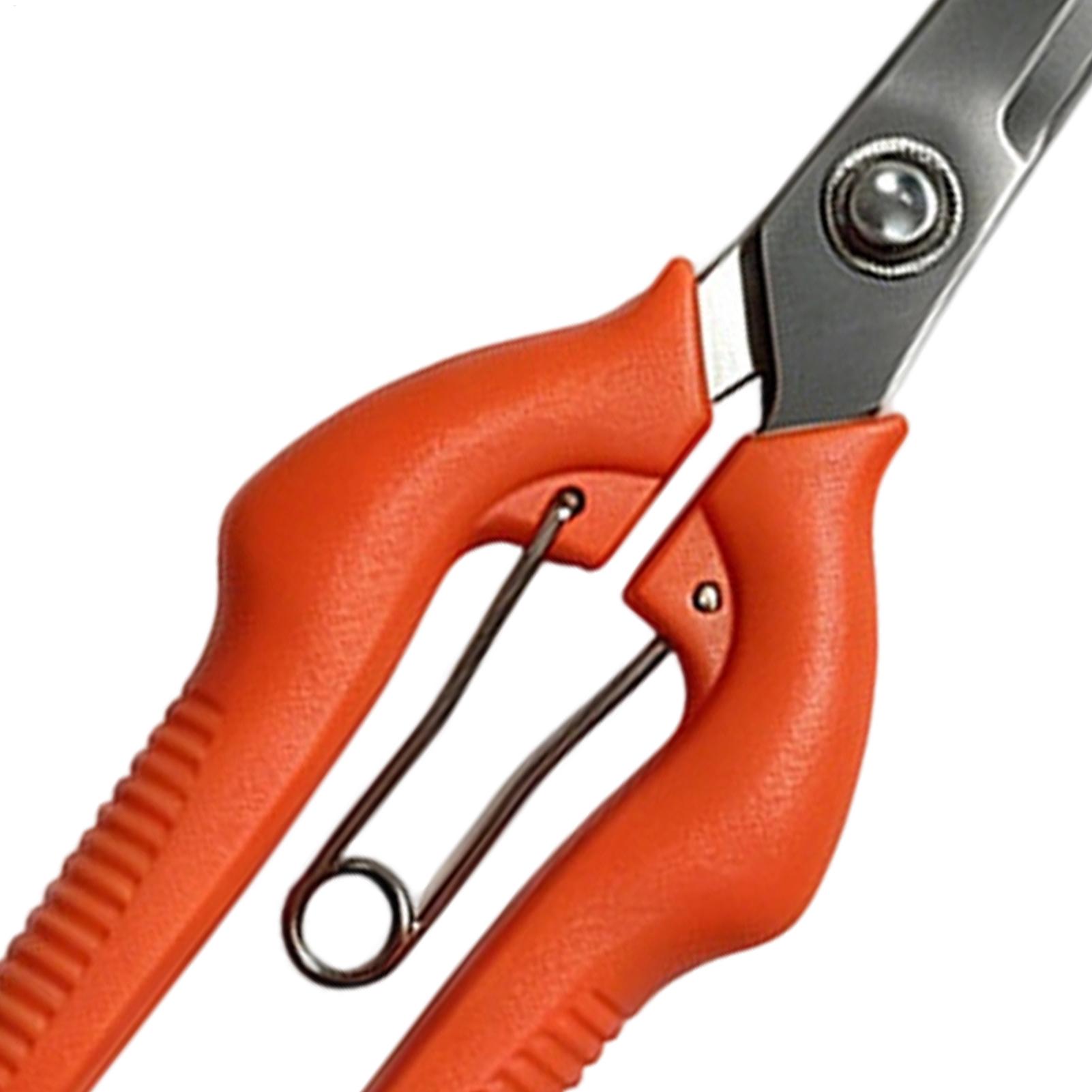 مقص تقليم العنب، أداة حديقة، م - مراجعة Gardening Tools For Beginners وسعره