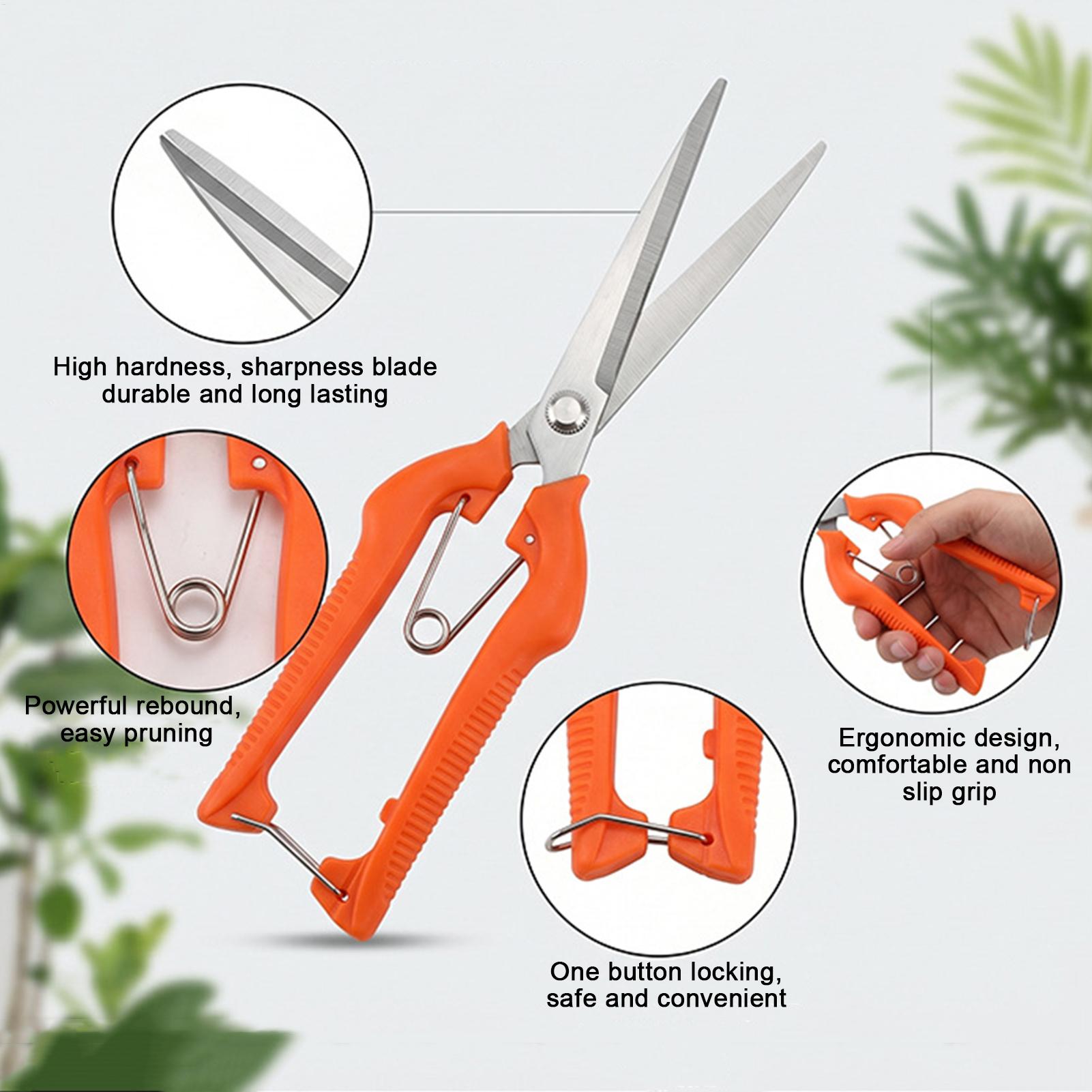 مقص تقليم العنب، أداة حديقة، م - مراجعة Gardening Tools For Beginners وسعره