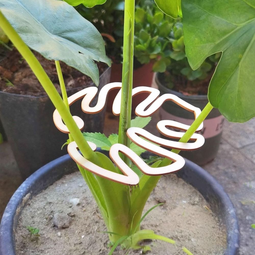 1/2 قطعة قابلة لإعادة الاستخدا - مراجعة Gardening Tools Hoe وسعره