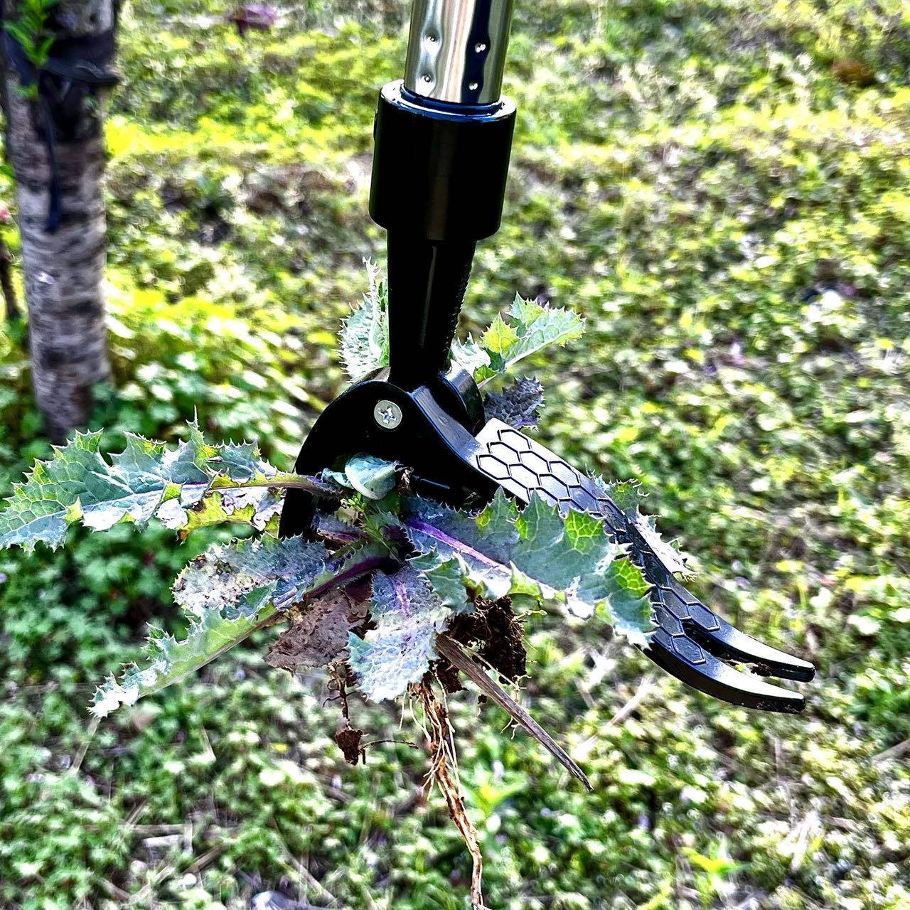 توفير العمالة اليد المعادن الا - مراجعة Gardening Tools You Need وسعره