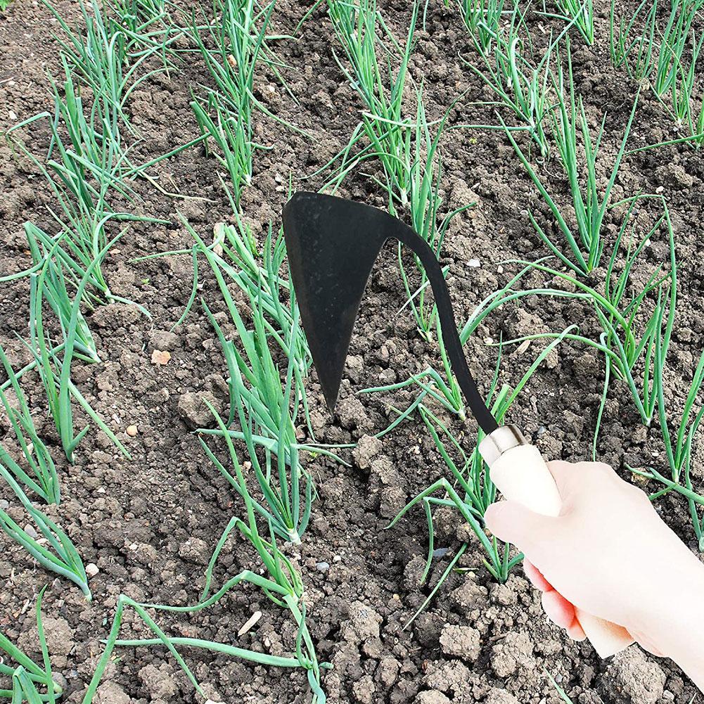مجرفة زراعية منزلية مجرفة مثلث - مراجعة Gardening Tools Hoe وسعره