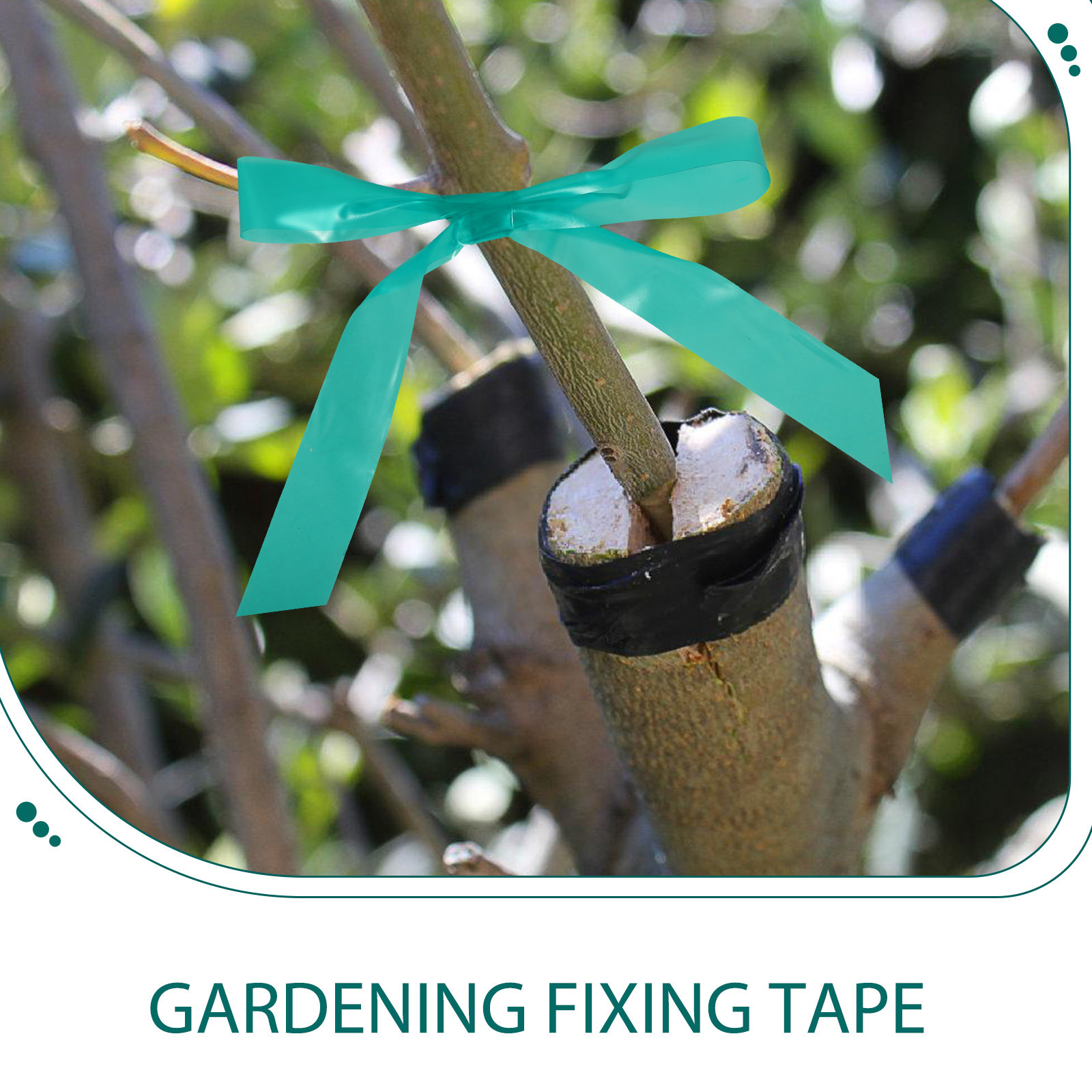 شريط تثبيت النباتات القابل للت - مراجعة Grafting Tape وسعره