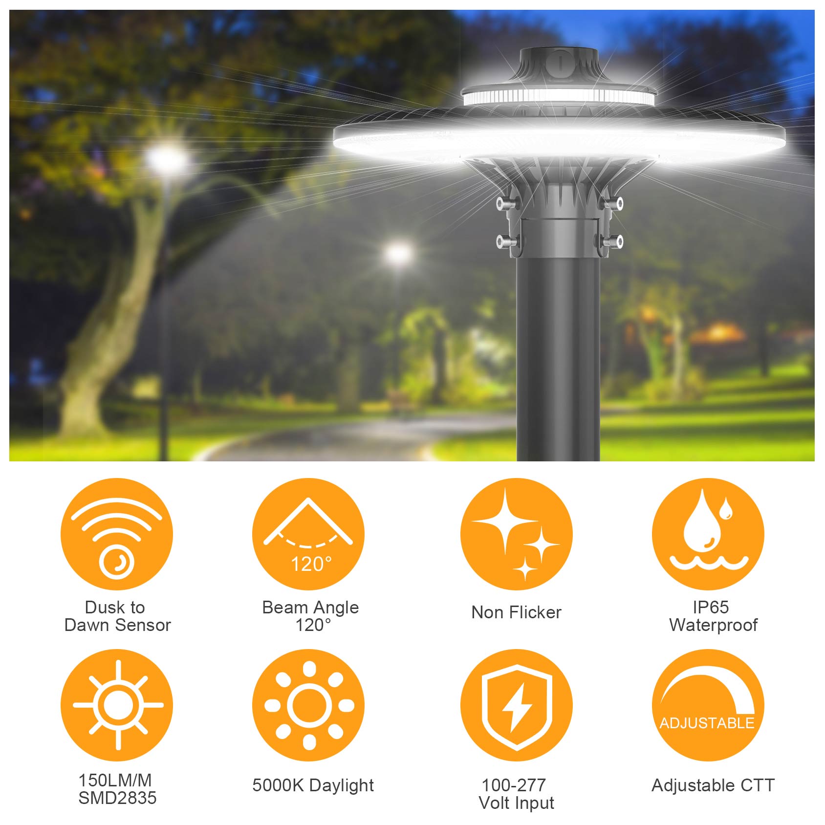 LED POST TOP Fixture ETL CE UL - مراجعة Gardening Tools List وسعره