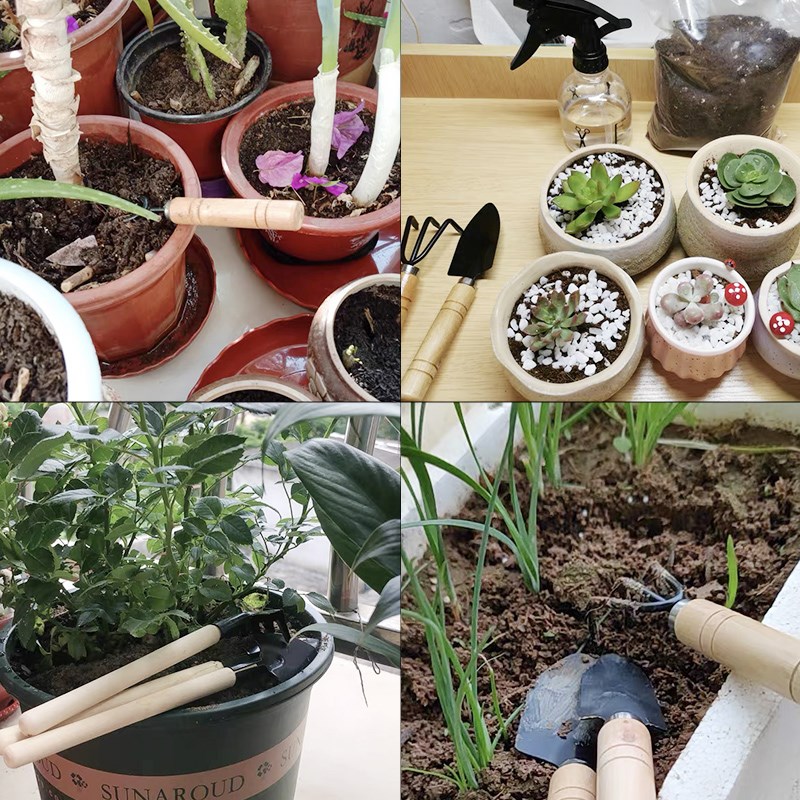 3 قطعة/1 مجموعة أدوات البستنة  - مراجعة Gardening Tools Hoe وسعره