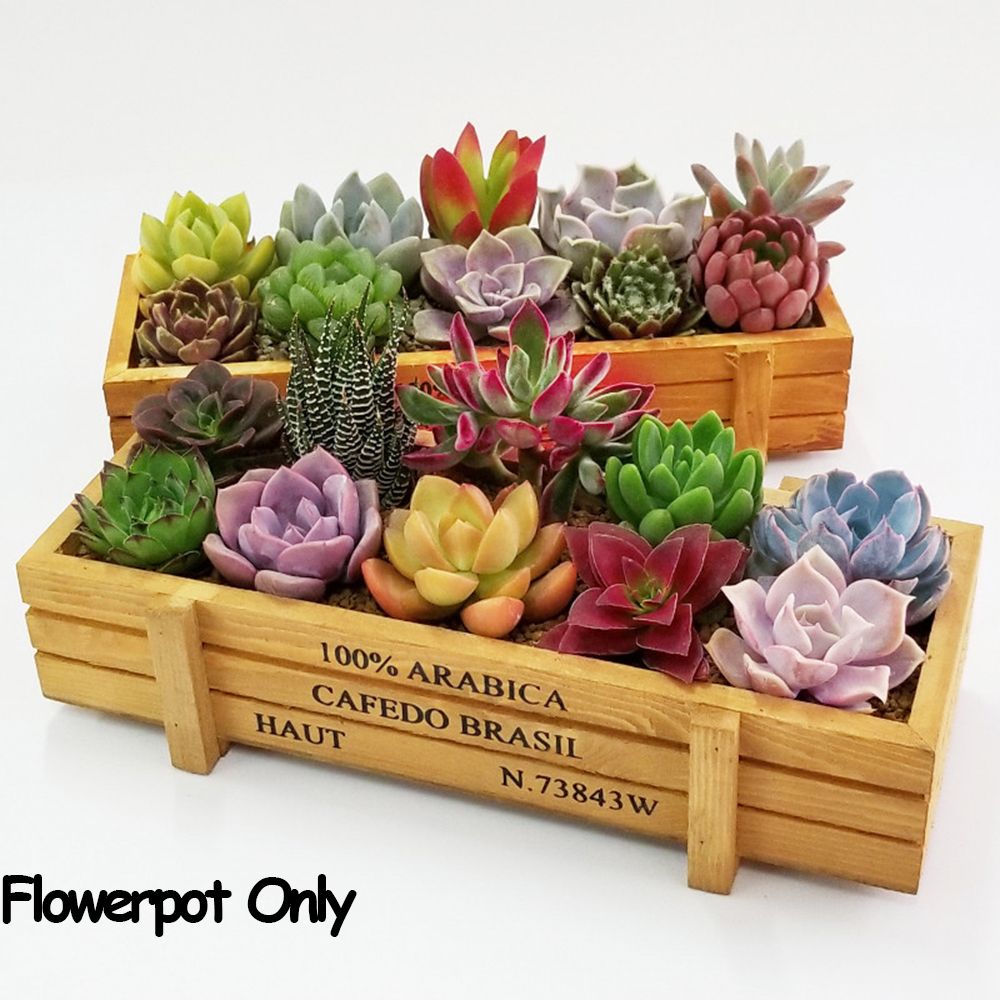 صناديق عصارية مستطيلية مزخرفة  - مراجعة Gardening Tools Organiser وسعره