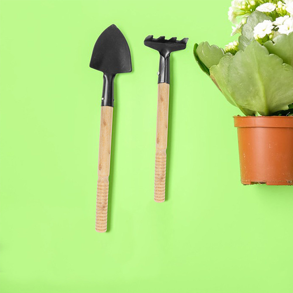 مجموعة من 5 قطع مقابض أدوات ال - مراجعة Gardening Tools And Accessories وسعره