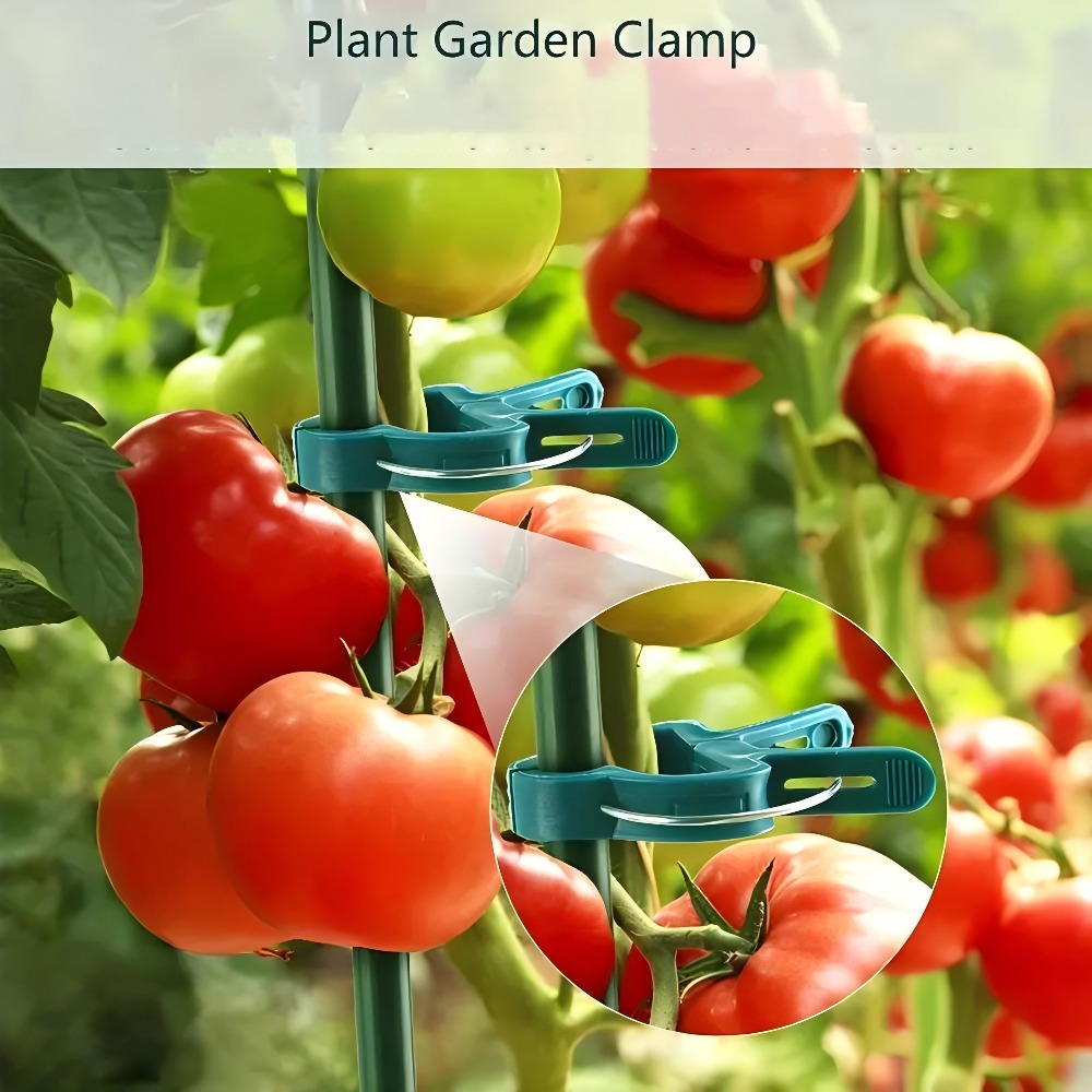 10/30/50 قطعة من مشابك النباتا - مراجعة Gardening Tools Essential وسعره