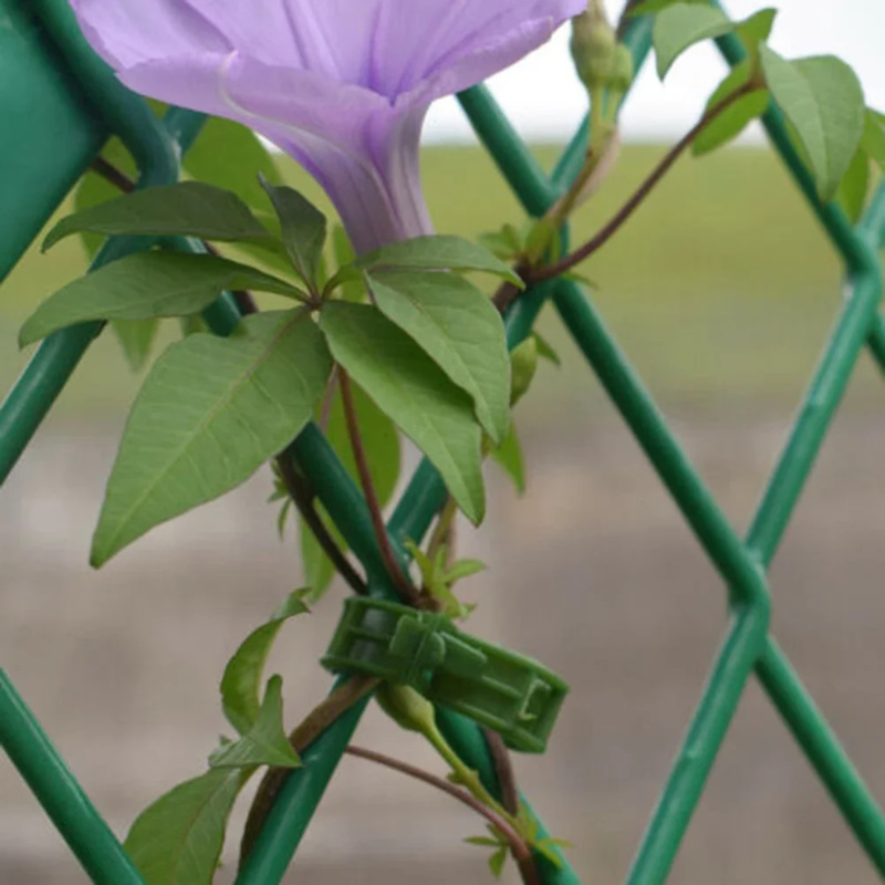 100 قطعة/مشبك دعم النبات العلا - مراجعة Gardening Tools Hoe وسعره