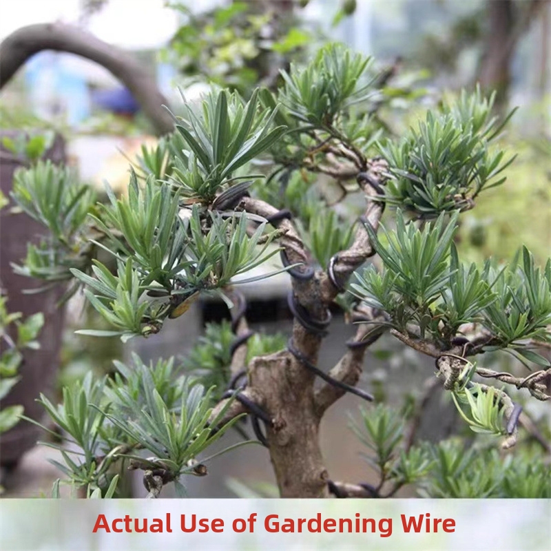 أسلاك بونساي من الألومنيوم بسم - مراجعة Gardening Tools And Accessories وسعره