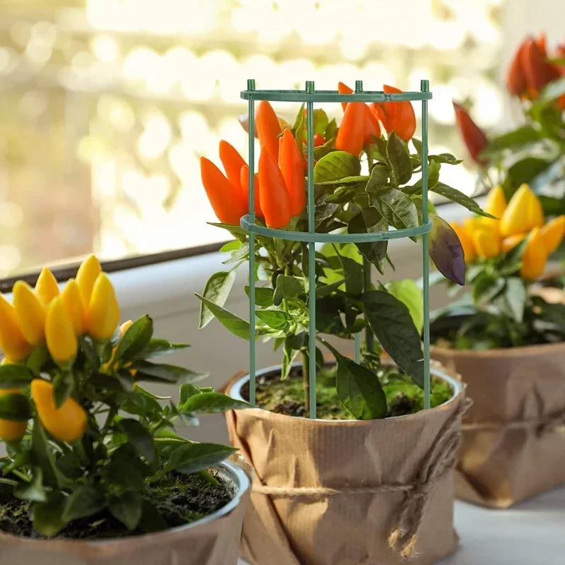 البلاستيك دعم النبات كومة حامل - مراجعة Gardening Tools Hoe وسعره