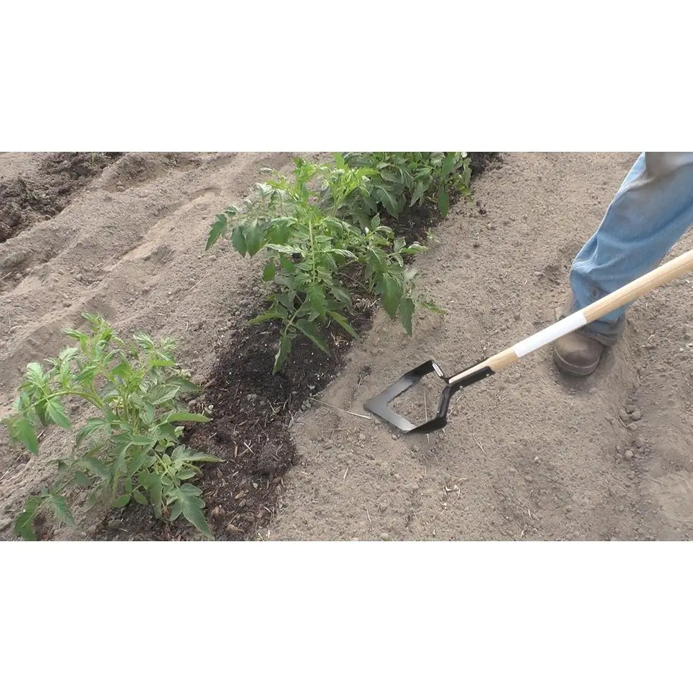 أداة حديقة متعددة الاستخدامات: - مراجعة Gardening Tools Hoe وسعره