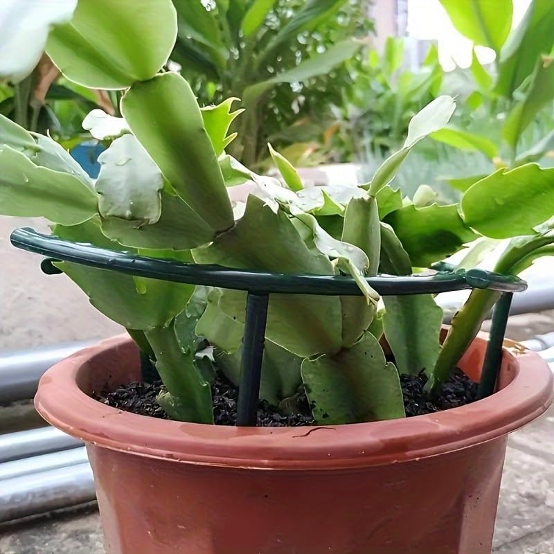 30-1 قطعة دعامة نباتات بلاستيك - مراجعة Gardening Tools Hoe وسعره