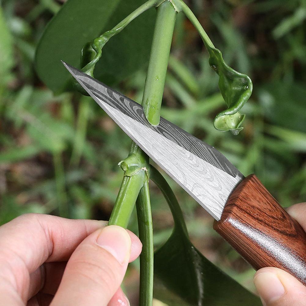 سكين تطعيم حاد بمقبض خشبي وغمد - مراجعة Gardening Tools For Beginners وسعره