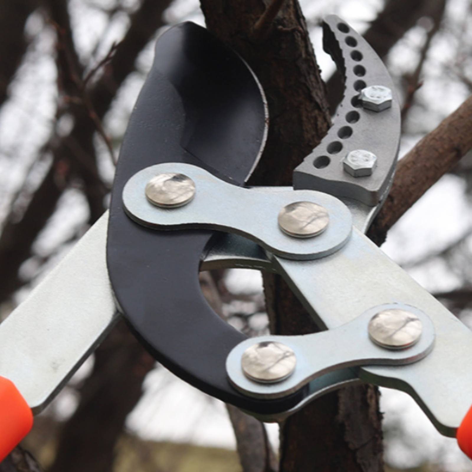 مقصات تقليم الأغصان التلسكوبية - مراجعة Gardening Tools Of وسعره