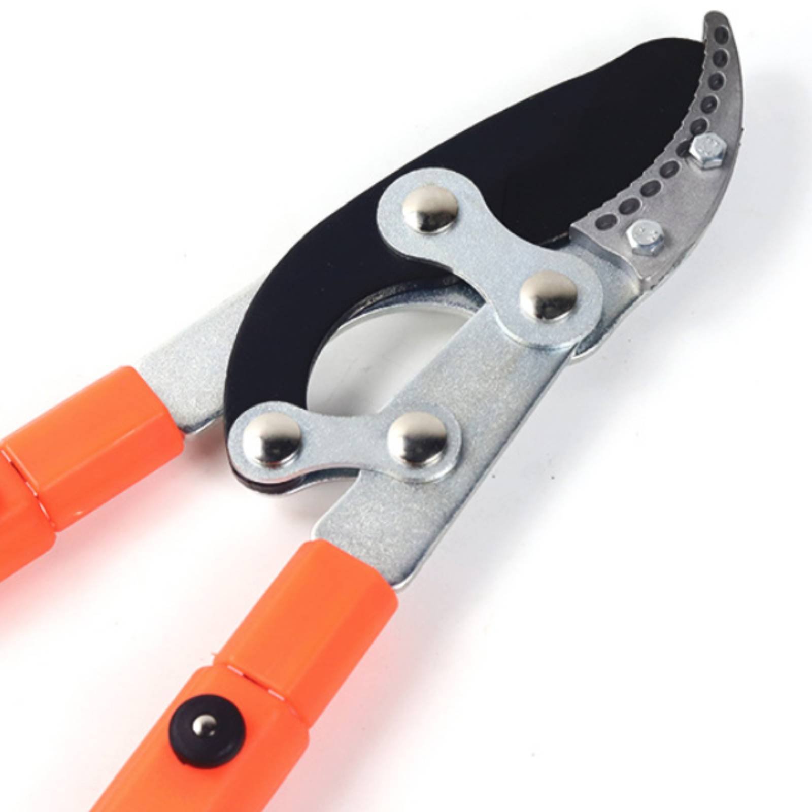 مقصات تقليم الأغصان التلسكوبية - مراجعة Gardening Tools Of وسعره