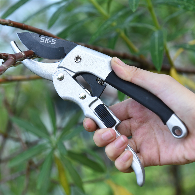 جديد 20 سنتيمتر نبات السقاطة ت - مراجعة Gardening Tools For Beginners وسعره