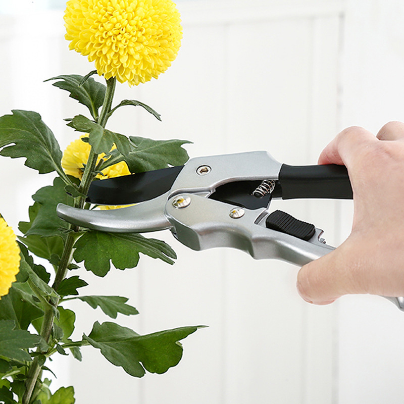 جديد 20 سنتيمتر نبات السقاطة ت - مراجعة Gardening Tools For Beginners وسعره