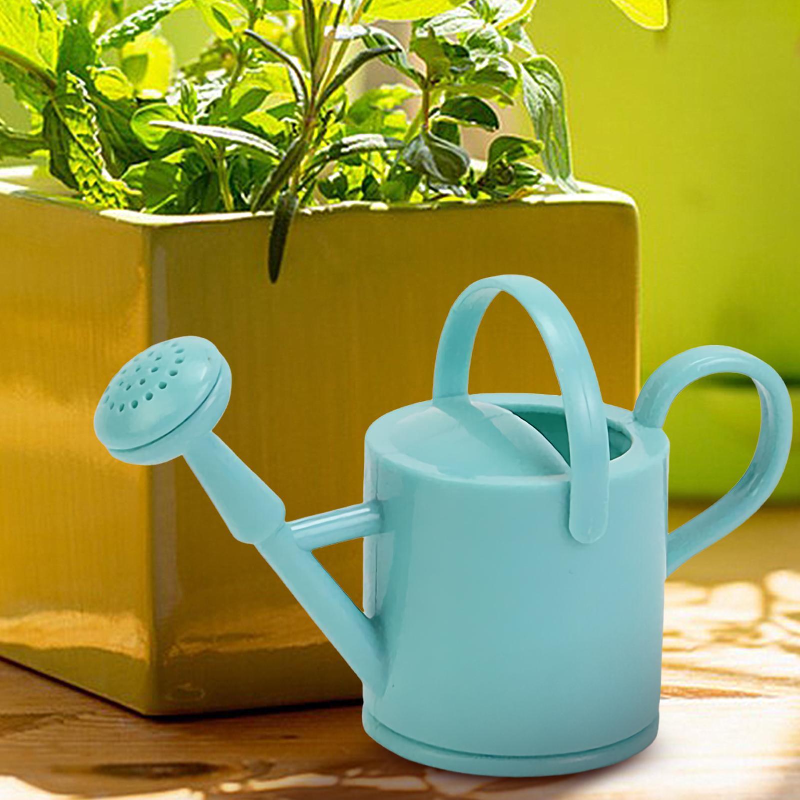 إبريق سقي صغير للأطفال، أداة س - مراجعة Gardening Tools For Toddlers وسعره